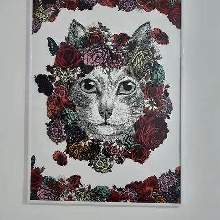 A Casa Di Dodo 2* Bari