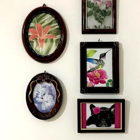 A Casa Di Dodo Bed & Breakfast