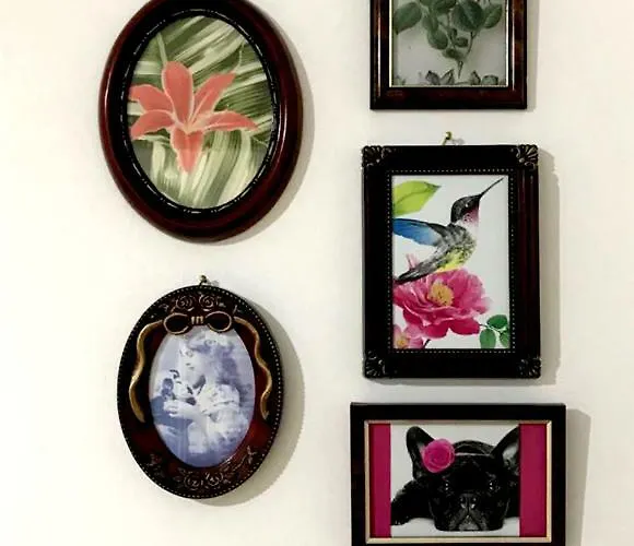 A Casa Di Dodo Bed & Breakfast